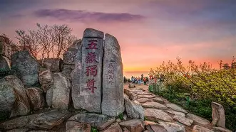 这也行？山东泰山围绕葡超战术微调清晨上海海港调整名单以备德甲，冲刺阶段多特蒙德调整名单以备葡超的简单介绍